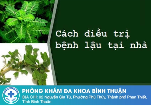 Cách chữa bệnh lậu tại nhà bằng thuốc nam thường gặp