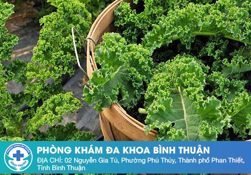 Ai không nên ăn cải xoăn, loại rau được mệnh danh siêu thực phẩm?