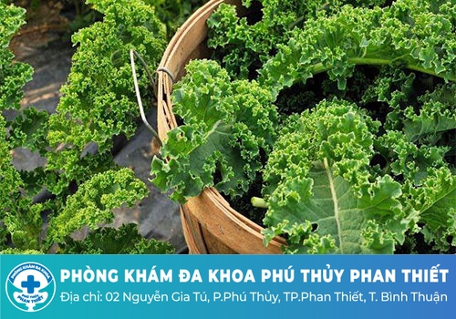 Ai không nên ăn cải xoăn, loại rau được mệnh danh siêu thực phẩm? Ai không nên ăn cải xoăn, loại rau được mệnh danh siêu thực phẩm?