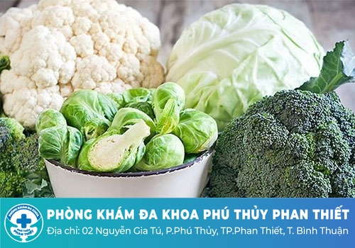 Các loại rau tốt cho người bệnh viêm loét đại tràng Các loại rau tốt cho người bệnh viêm loét đại tràng