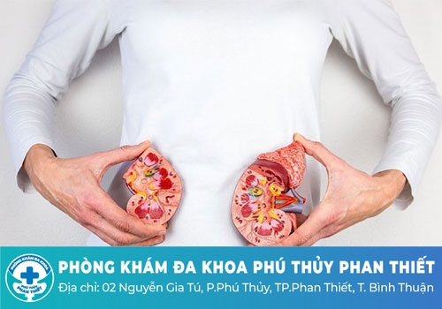 Suy thận mạn tính, làm sao tránh? Suy thận mạn tính, làm sao tránh?