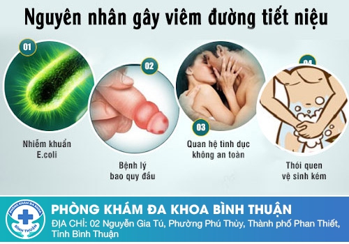 Nguyên nhân viêm đường tiết niệu ở nam giới