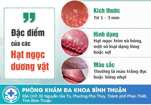 Hạt ngọc dương vật là gì?