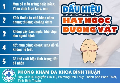 Dấu hiệu nhận biết chuỗi hạt ngọc dương vật là gì?