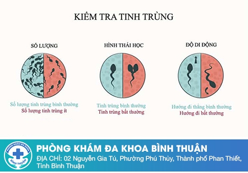 Thế nào là tinh trùng yếu?