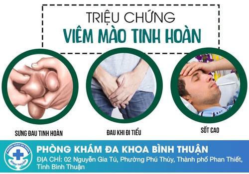 Bệnh tinh hoàn -  Viêm tinh hoàn, viêm mào tinh hoàn