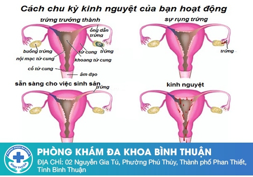 Trễ kinh bao nhiêu ngày là bình thường?