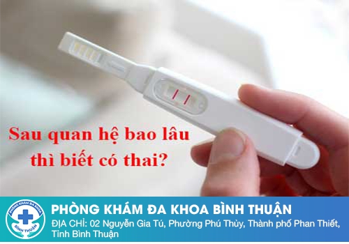 Sau quan hệ tình dục bao lâu thì sẽ có thai?