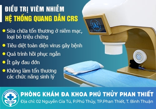 Cách chữa trị viêm đường tiết niệu hiệu quả