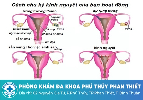 Trễ kinh bao nhiêu ngày là bình thường?