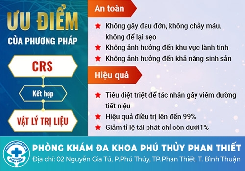 Cách chữa trị viêm đường tiết niệu hiệu quả