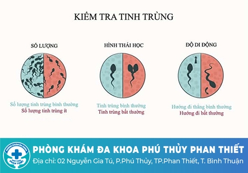 Thế nào là tinh trùng yếu?