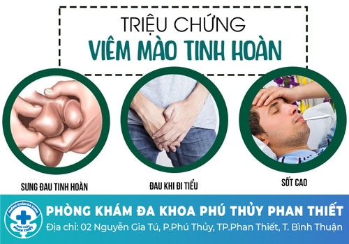 Bệnh tinh hoàn -  Viêm tinh hoàn, viêm mào tinh hoàn